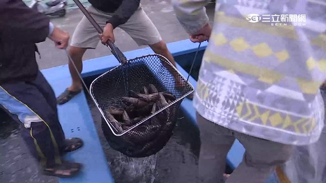 漁船領千萬補助　疑私運肉乾銷至對岸