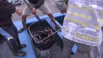 漁船領千萬補助　疑私運肉乾銷至對岸