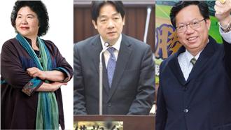 怨馬政府分配不均　綠營盼蔡英文關愛