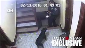 警殺狗/new york daily news