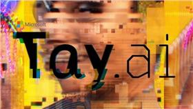 微軟人工智慧TAY/TWITTER