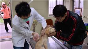 寵物疫苗,寵物,打針,（圖／翻攝自新北市動保處官網）
http://www.ahiqo.ntpc.gov.tw/news-info.php?id=730
