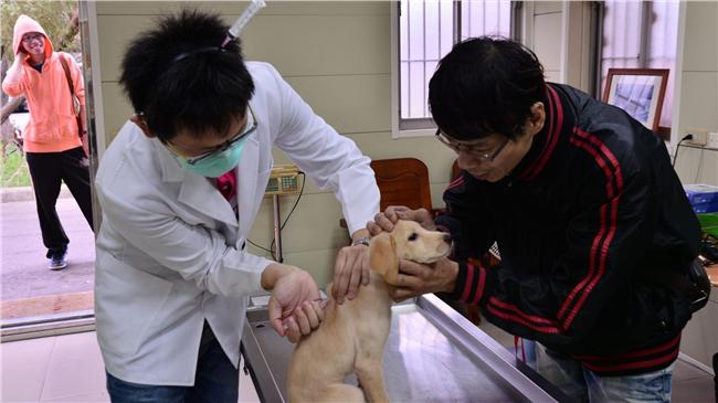 注意！狂犬病疫苗注射新北只要110