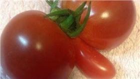 小番茄,生殖器,小雪人,形狀奇特,積雪堆