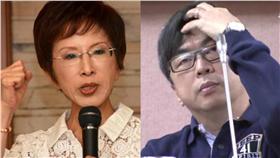 洪秀柱,段宜康▲合成圖／翻攝自洪秀柱臉書 資料照