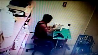 影／美容師甩小狗2巴掌　送醫不治