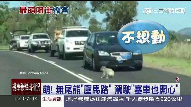 這個路障太萌了～駕駛塞車塞得好甘願