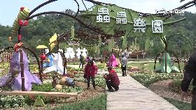 W綠博開幕081112T12