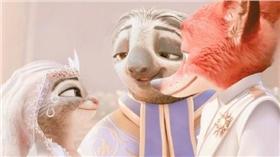 動物方城市,新浪娛樂