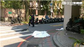 環山路,女童,內湖