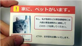 毛小孩,寵物卡,@Kinakosha Twitter