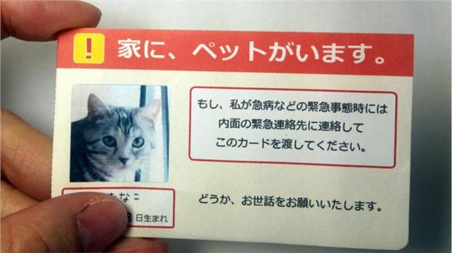 不怕毛孩沒人顧！日網友推「寵物卡」