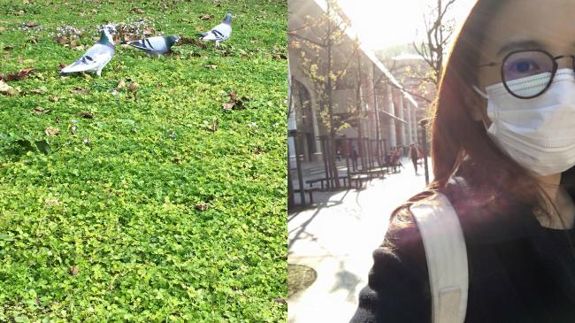 女童案太悲痛　田馥甄：用愛預防犯罪