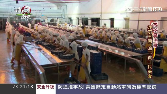 捕沙丁魚卻吃不起　漁業大國的哀歌