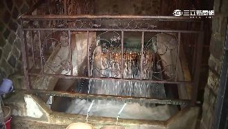 神奇陽明山湧泉　藍寶石水天然可生飲