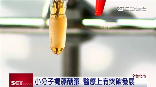 醫學突破！褐藻醣膠成功抑制腫瘤生長