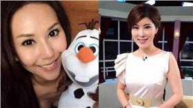 洪曉蕾、李晶玉合成圖／臉書