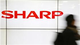 鴻夏戀,夏普,sharp-圖/達志影像