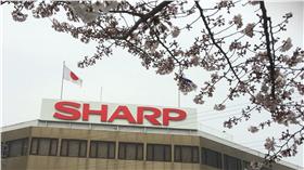 夏普,SHARP-圖/中央社(首圖)