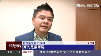 5大案進度停擺　立委批「草莓內閣」