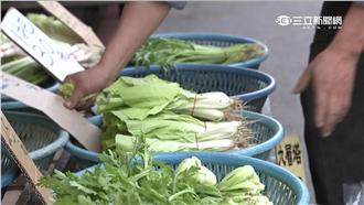 菜價飆漲創史上新高！立委狠批農委會