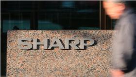 SHARP,夏普,鴻夏戀-圖/達志影像