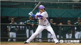 義大犀牛胡金龍（圖／記者王怡翔攝）