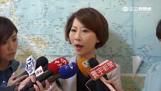 傳新政府布局「大老外交」　綠委看好