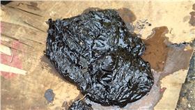 協和電廠入水口發現的油花,德翔台北　圖／基隆市環保局提供