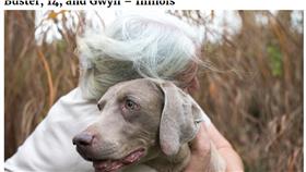 ▲圖／翻攝自《boredpanda》
http://www.boredpanda.com/the-unconditional-love-between-old-dogs-and-their-people-inspired-my-photo-series/