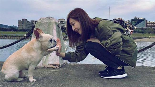 鄉民的力量！王心凌走失愛犬找到了
