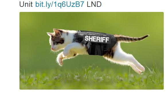 借重牠敏捷與速度　警成立「警貓隊」