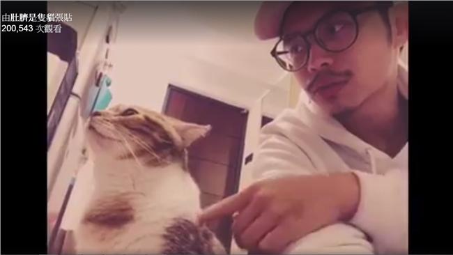 一招惹怒愛貓肚臍　小冰獻罐頭求原諒