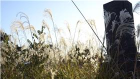 墓地
https://www.flickr.com/photos/makitatsu/6490848279/in/photolist-aTzi4e-FPe4M-AYXAyp-59WhDg-bMYuag-4Loak3-oPoNik-zsYmiu-aJt4hB-aEegpx-9VJcd-4LBM6Y-bz4NtL-pL9ceh-zsYm8Q-ijAmfd-sg1bnN-5a1s6d-4BGVoC-aJt4iv-fopqrL-fopqg1-foprfS-abR1WE-mG3kXB-d6oimY-aEegti-rxGPjF-5a1s25-zw9QU4-oryQzq-oJ4xPx-rRURnG-qVexjk-87rXpG-px3bdZ-5a1rYS-87LXTG-9ycDu6-aJt4hK-7Z3vkK-6hUZcv-qV2UTs-d6ojcA-9PWPge-59Weax-6zkes9-ofDfXs-ojqYHF-o1cosK