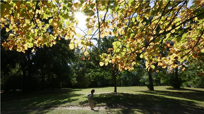 全台陽光持續露臉　最高溫可達30℃