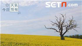 今日天氣預報(圖/https://www.flickr.com/photos/leroygazzelle/2470631011/in/photolist-4LjCwp-st8Yw8-dEn2NH-et7Zfc-9Zg9yr-7A8s15-cYwfoC-8pNUqu-fL3nkK-895AEY-UdztN-bmvJBy-DmsQA-cxnZtY-rrwFDA-6veJMa-nnotsE-cqpoww-9GHJXt-dc6mJY-cDr7mq-9Zg9vD-5GeJ7q-3KXVug-eh9x2x-oak6pG-eLy5rj-egiofw-8Mw5pw-oHtpiC-dKBGCe-38txjT-aorWzF-qN5mHE-eJ82No-8PHTXU-fkcGt4-e3wY2B-dBKvNV-9U9EX5-8NQeEX-rczYwJ-u8zLq-5XhSis-eUFD67-8LF2fe-2wJiT-dCGnBQ-dP7zxg-8jsNvj)