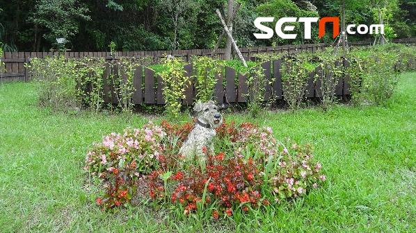 毛孩子祕密花園：北市提供火化、灑葬