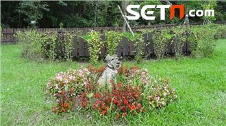 毛孩子祕密花園：北市提供火化、灑葬