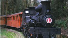 TD
森鐵5月起漲價 20年來首次
台鐵3日宣布，5月1日起，調高阿里山森林鐵路票價，
這也是森鐵20年來首次漲價。
（台鐵提供）
中央社記者汪淑芬傳真 105年4月3日