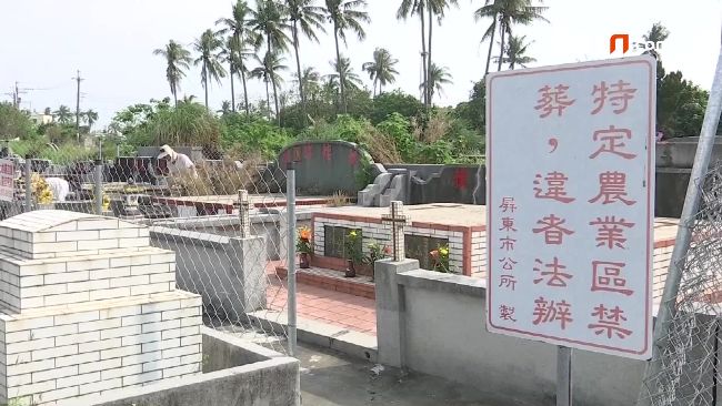 清明掃墓外出這樣做　防「恙蟲」叮咬
