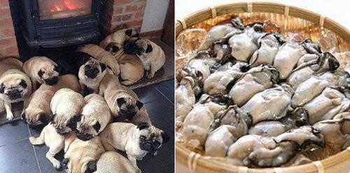 creamymainoko - twit