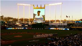 王建民、皇家隊／翻攝自王建民臉書