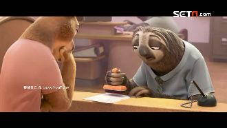 超萌樹懶光看就療癒　還能放鬆身心～