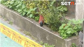 台北市發現疑似手榴彈
