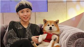 《東方美SS小燕之夜》竇靖童／中天提供