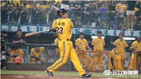 彭政閔（圖／記者王怡翔攝）