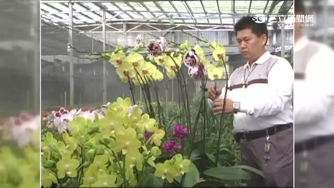 收618萬養不出花　神農獎得主挨告