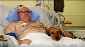 寵物探病日/youtube