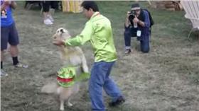 （圖／翻攝自Official Dogs YouTube）