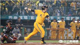 中信兄弟蔣智賢（圖／記者王怡翔攝）